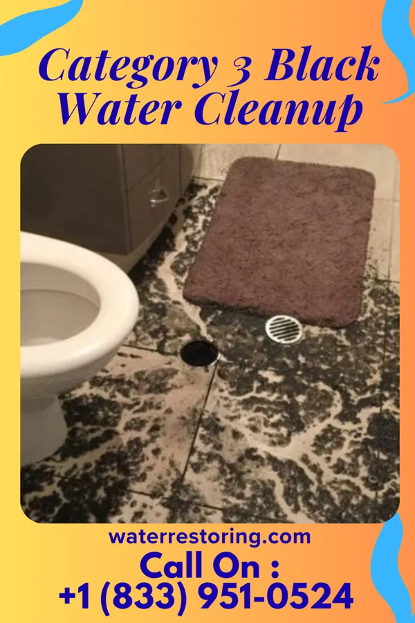 Category 3 Black Water Cleanup in Bellemeade, KY