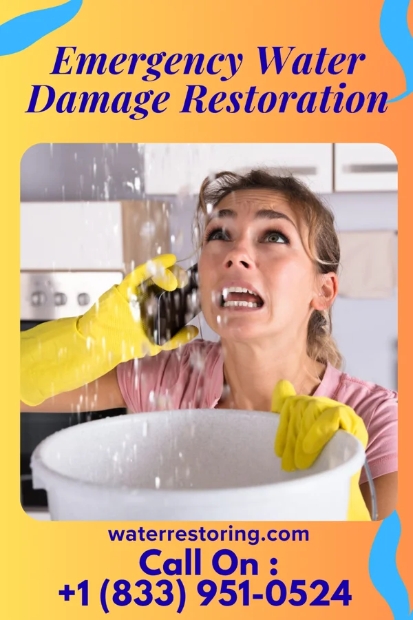 Emergency Water Damage Restoration in Bellemeade, KY